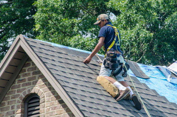 Best Shingle Roofing Installation  in Kalamazoo, MI